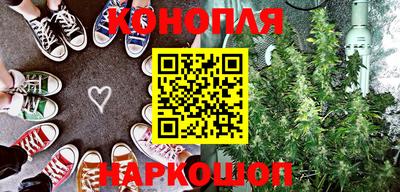 стаф Гай