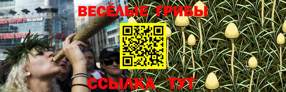 Псилоцибиновые грибы Cubensis  Вход с VPN  закладки  Вологда 